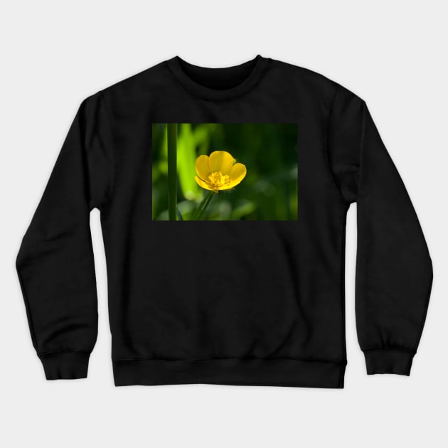 Buttercup Crewneck Sweatshirt by EugeJ